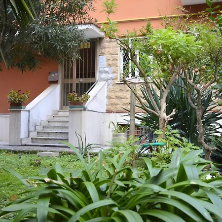 Arese Undici-2